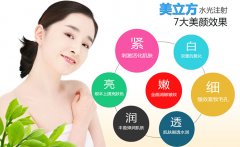 水光針儀器有哪幾種？水光儀哪個牌子好_水光儀價格